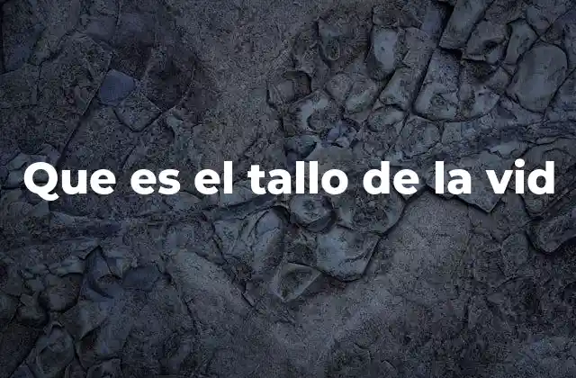Que es el Tallo de la Vid 2 La importancia del tallo en la estructura de la vid