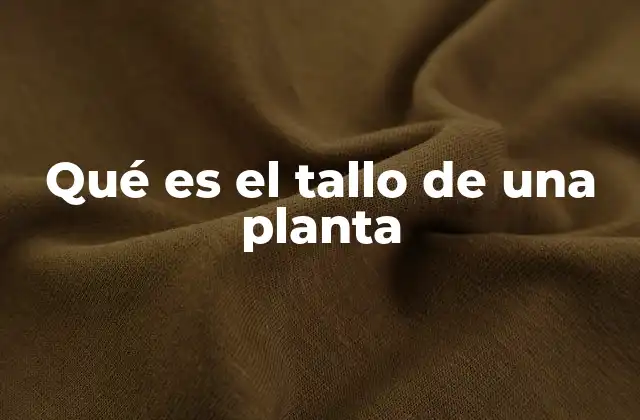 Qué es el Tallo de una Planta