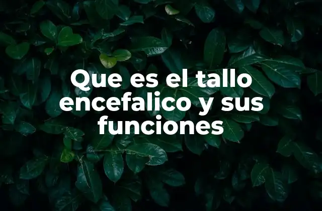 Estructura y ubicación del tallo encefálico