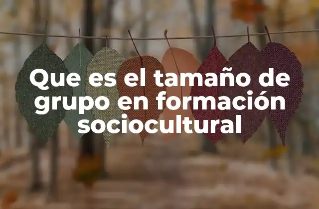 Que es el Tamaño de Grupo en Formación Sociocultural