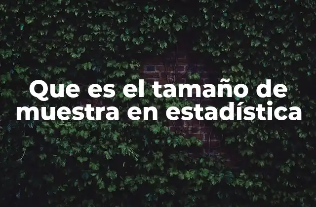 Que es el Tamaño de Muestra en Estadística