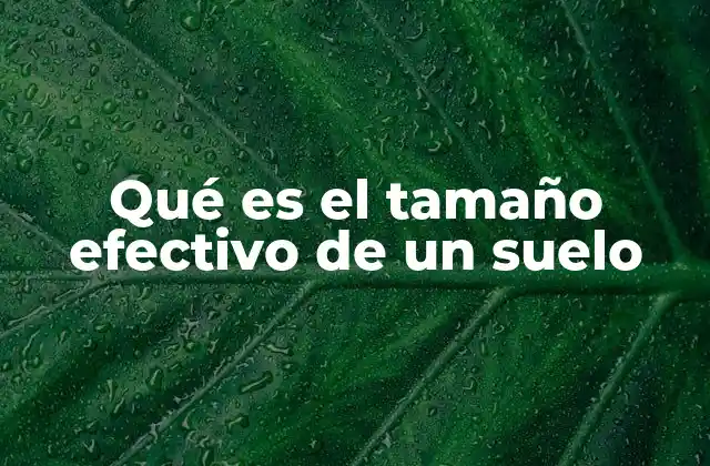 Qué es el Tamaño Efectivo de un Suelo