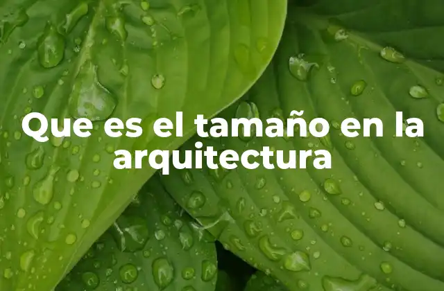 Que es el Tamaño en la Arquitectura