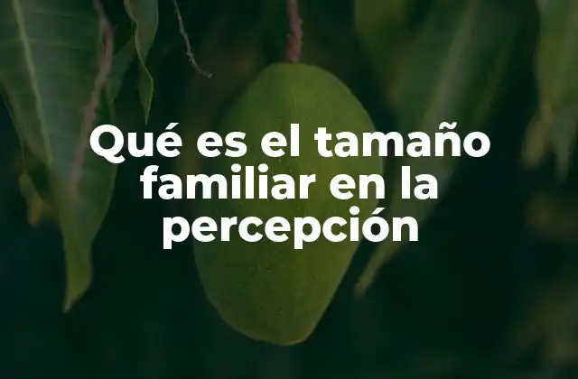 Qué es el Tamaño Familiar en la Percepción
