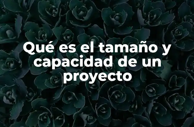 Qué es el Tamaño y Capacidad de un Proyecto