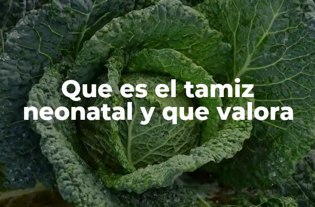 Que es el Tamiz Neonatal y que Valora