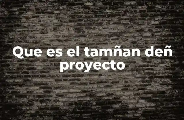 Cómo se define el tamaño de un proyecto antes de su inicio