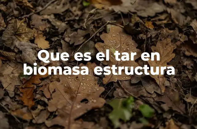 Que es el Tar en Biomasa Estructura
