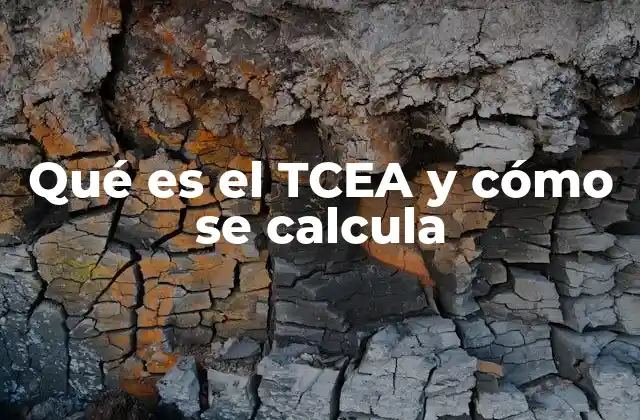 Qué es el Tcea y Cómo Se Calcula