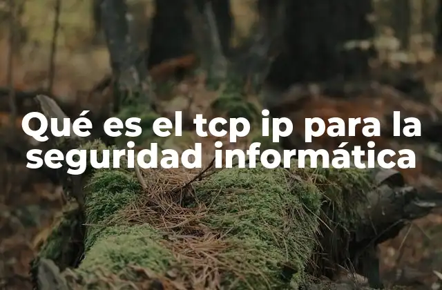 Qué es el Tcp Ip para la Seguridad Informática