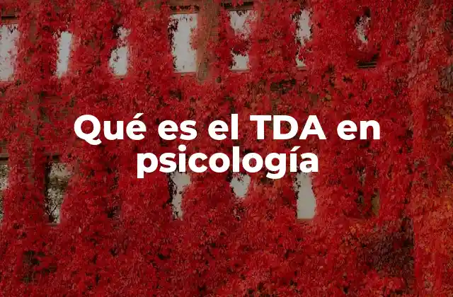 Características del TDA en la vida cotidiana