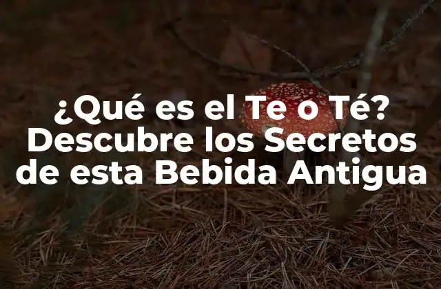 ¿qué es el Te o Té? Descubre los Secretos de Esta Bebida Antigua