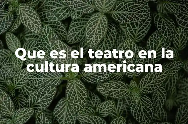 Que es el Teatro en la Cultura Americana