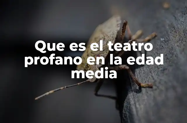 Que es el Teatro Profano en la Edad Media