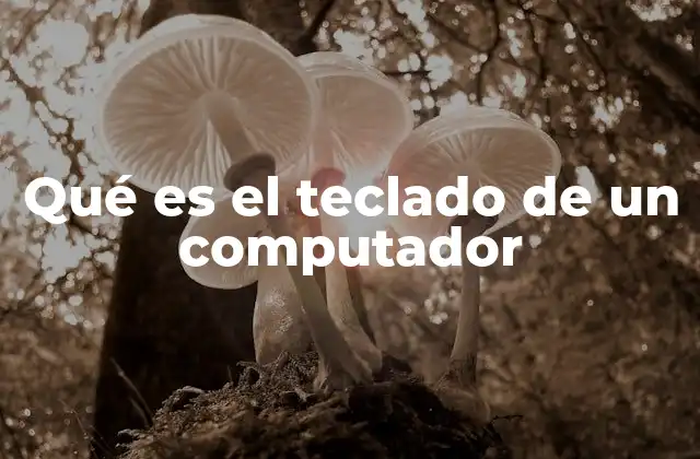 Qué es el Teclado de un Computador