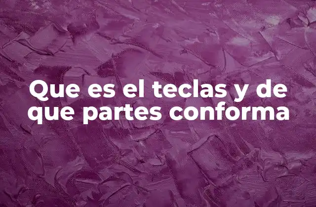 Que es el Teclas y de que Partes Conforma