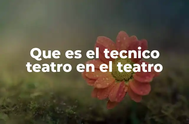Que es el Tecnico Teatro en el Teatro