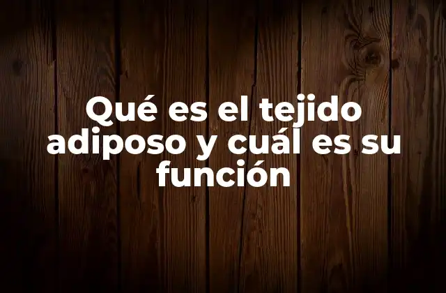 Qué es el Tejido Adiposo y Cuál es Su Función