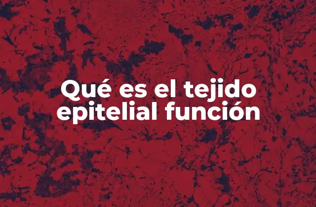 Qué es el Tejido Epitelial Función
