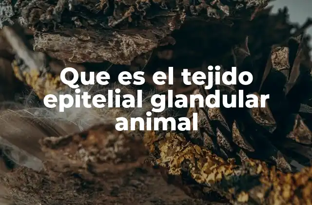 Que es el Tejido Epitelial Glandular Animal