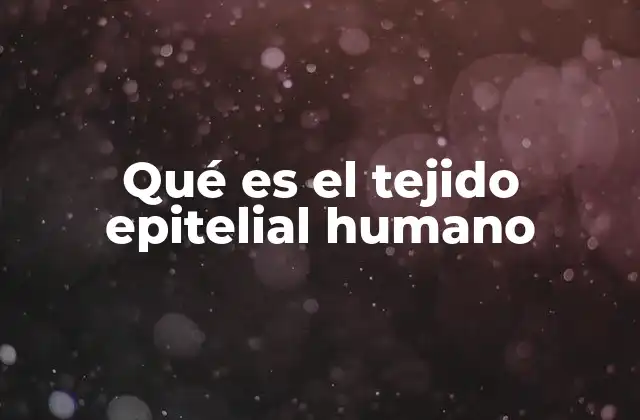 Qué es el Tejido Epitelial Humano