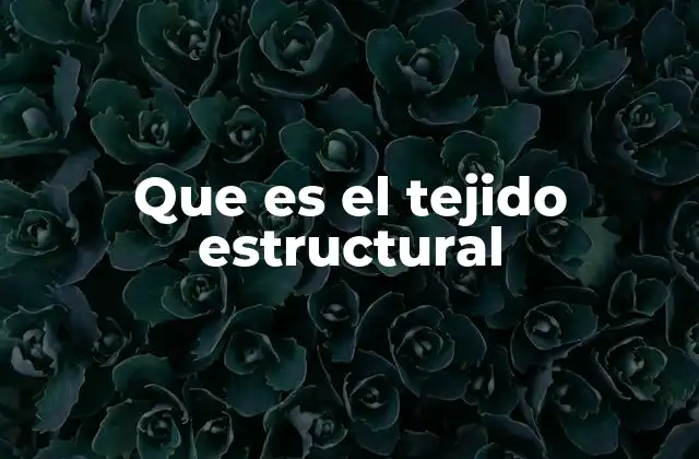 Que es el Tejido Estructural