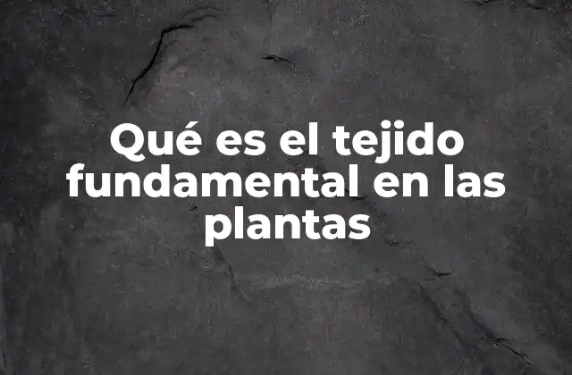 Qué es el Tejido Fundamental en las Plantas