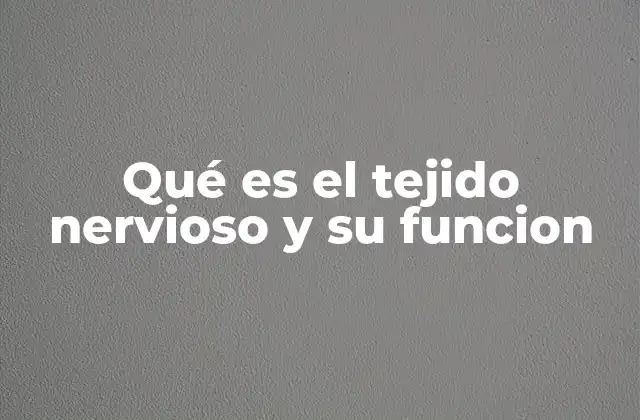 Qué es el Tejido Nervioso y Su Funcion