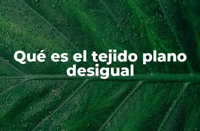 Qué es el Tejido Plano Desigual 2 Características estructurales del tejido epitelial plano desigual