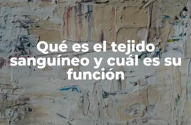 Qué es el Tejido Sanguíneo y Cuál es Su Función