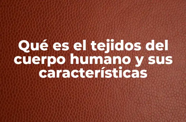 Qué es el Tejidos Del Cuerpo Humano y Sus Características