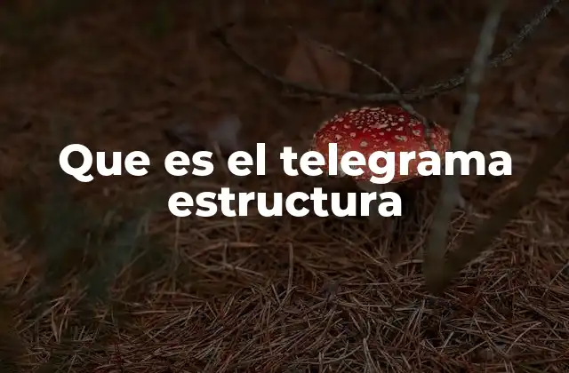 Que es el Telegrama Estructura