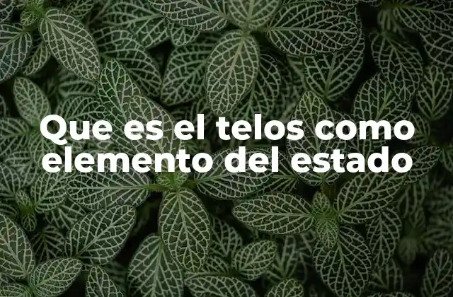 Que es el Telos como Elemento Del Estado