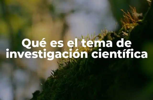 La base del conocimiento en la investigación