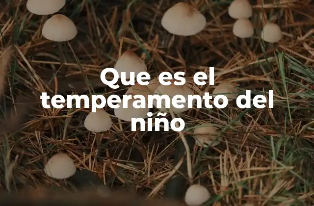 Que es el Temperamento Del Niño