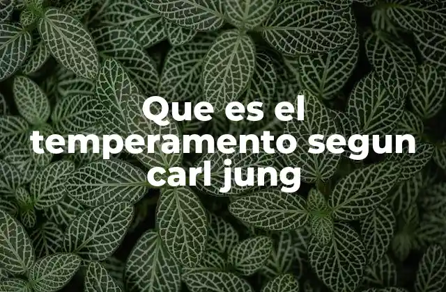Que es el Temperamento Segun Carl Jung