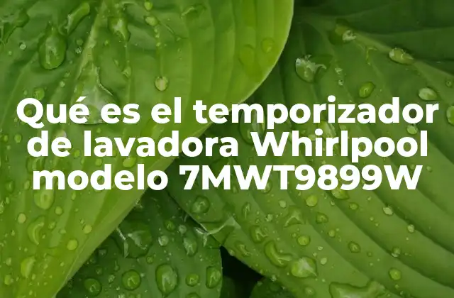 El corazón del control de tiempo en tu lavadora Whirlpool