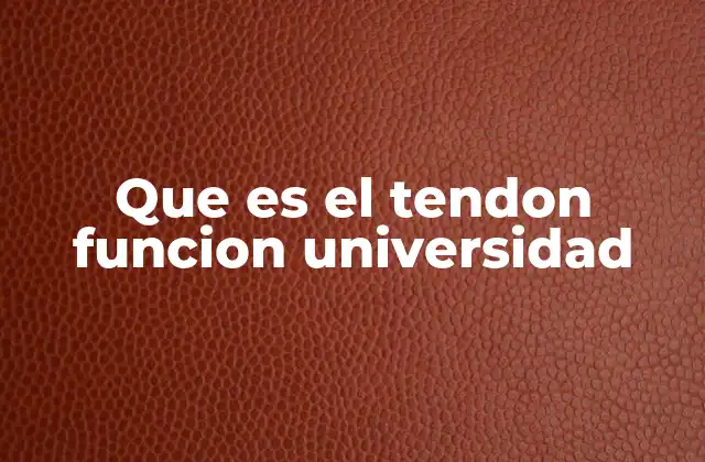 Que es el Tendon Funcion Universidad