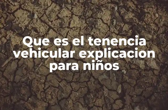 Que es el Tenencia Vehicular Explicacion para Niños