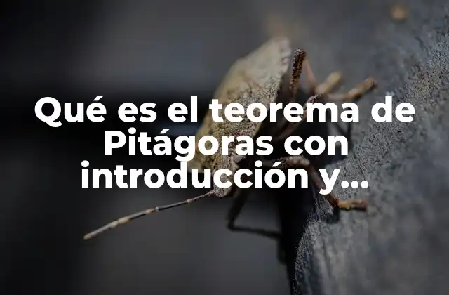 Qué es el Teorema de Pitágoras con Introducción y Desarrollo 2 La importancia del teorema en la geometría euclidiana
