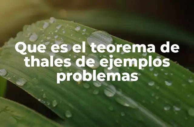 Que es el Teorema de Thales de Ejemplos Problemas