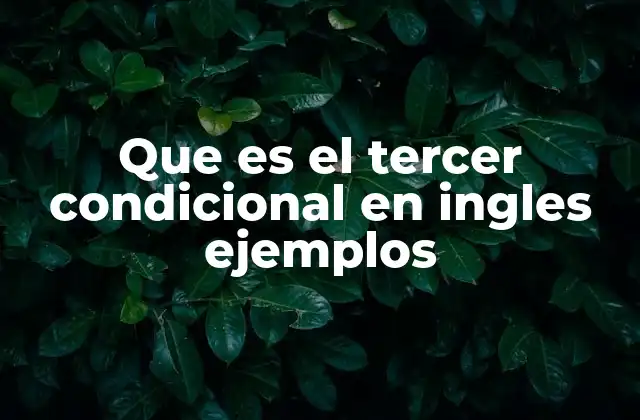 Que es el Tercer Condicional en Ingles Ejemplos