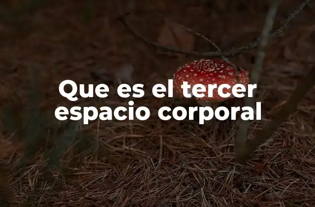 Que es el Tercer Espacio Corporal 2 El cuerpo entre lo interno y lo social