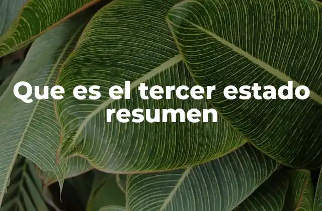 Que es el Tercer Estado Resumen
