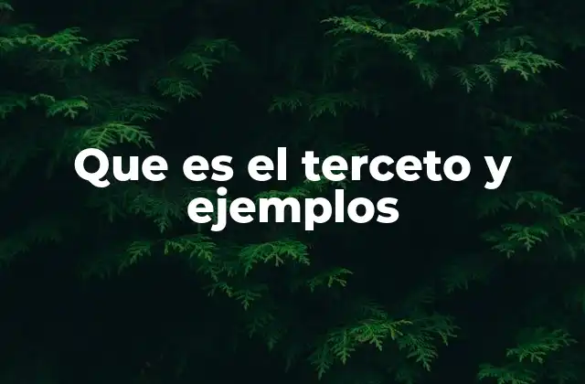 Que es el Terceto y Ejemplos