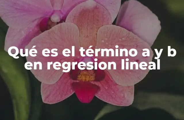 Qué es el Término a y B en Regresion Lineal