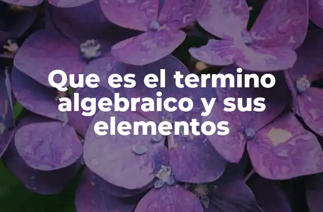 Que es el Termino Algebraico y Sus Elementos