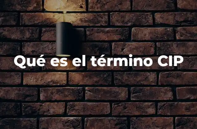 Qué es el Término Cip