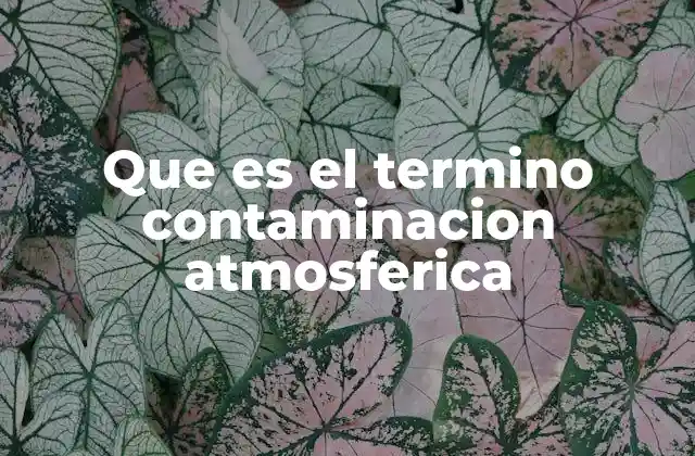 Que es el Termino Contaminacion Atmosferica 2 Causas de la contaminación del aire