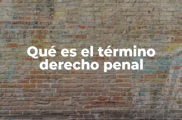Qué es el Término Derecho Penal